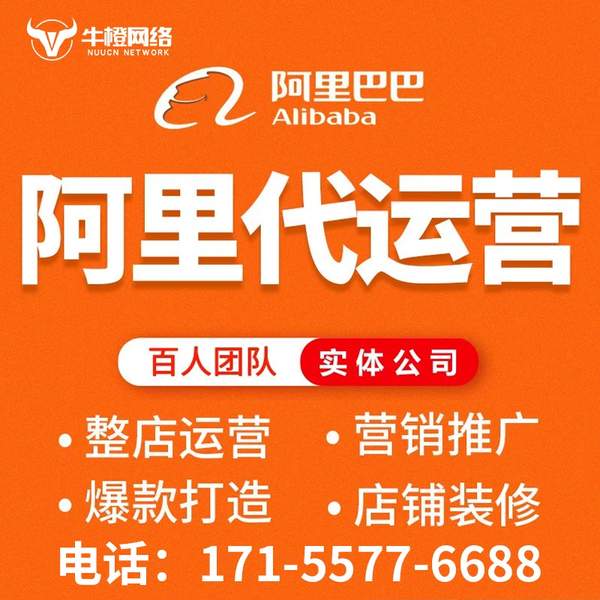 儋州电商代运营