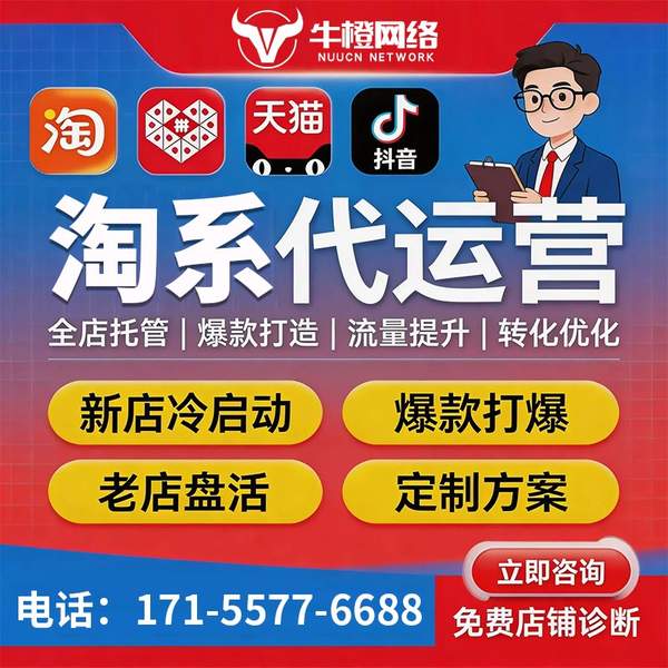 儋州电商代运营