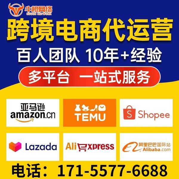 儋州电商代运营