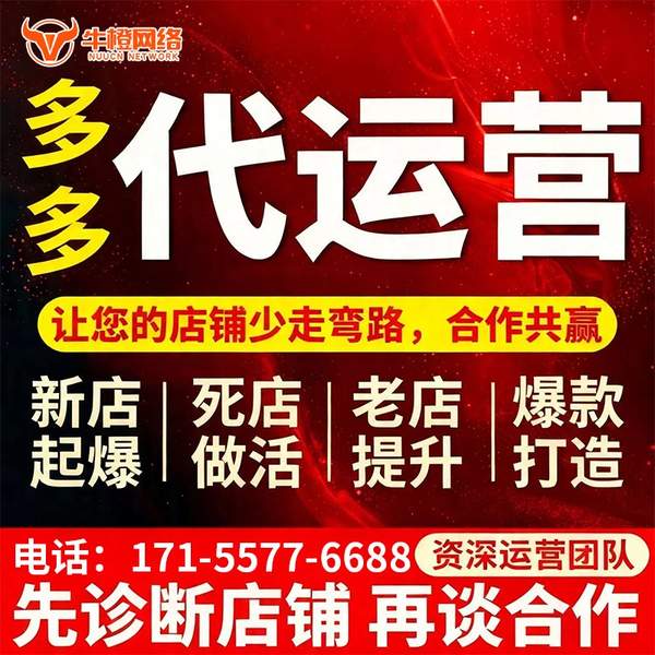 儋州电商代运营