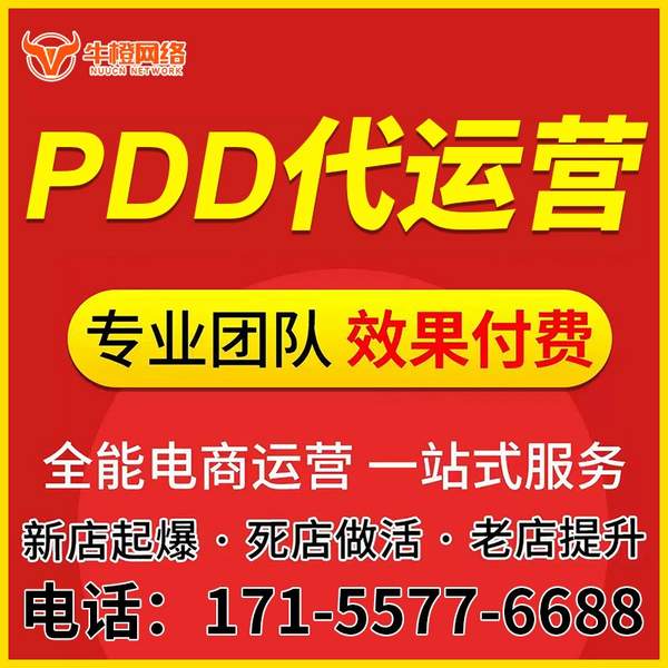 儋州电商代运营