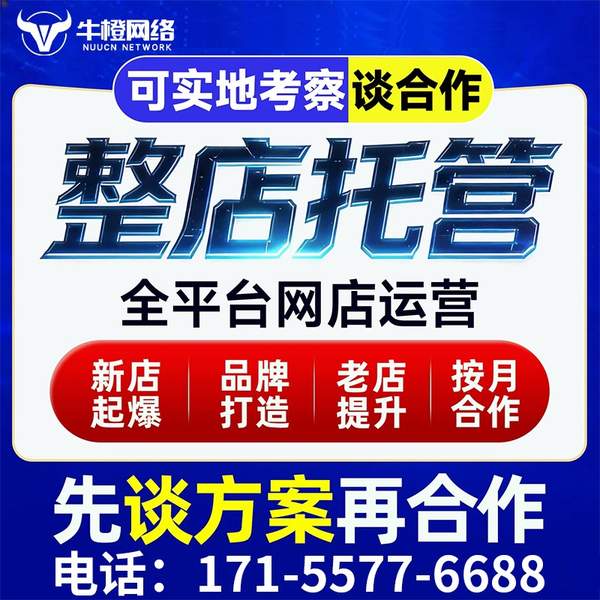 儋州电商代运营