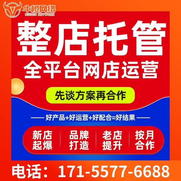 儋州电商代运营