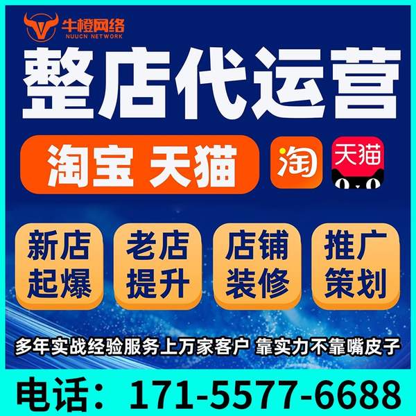 儋州电商代运营