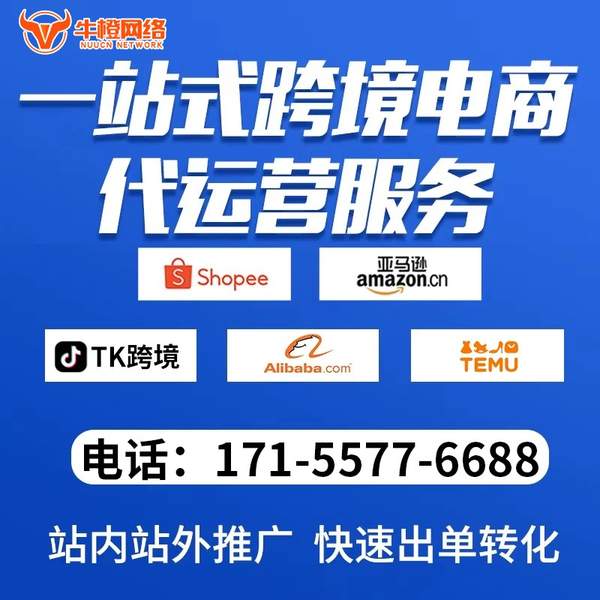 儋州电商代运营
