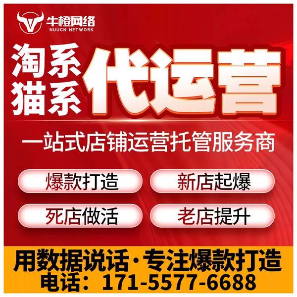 儋州电商代运营